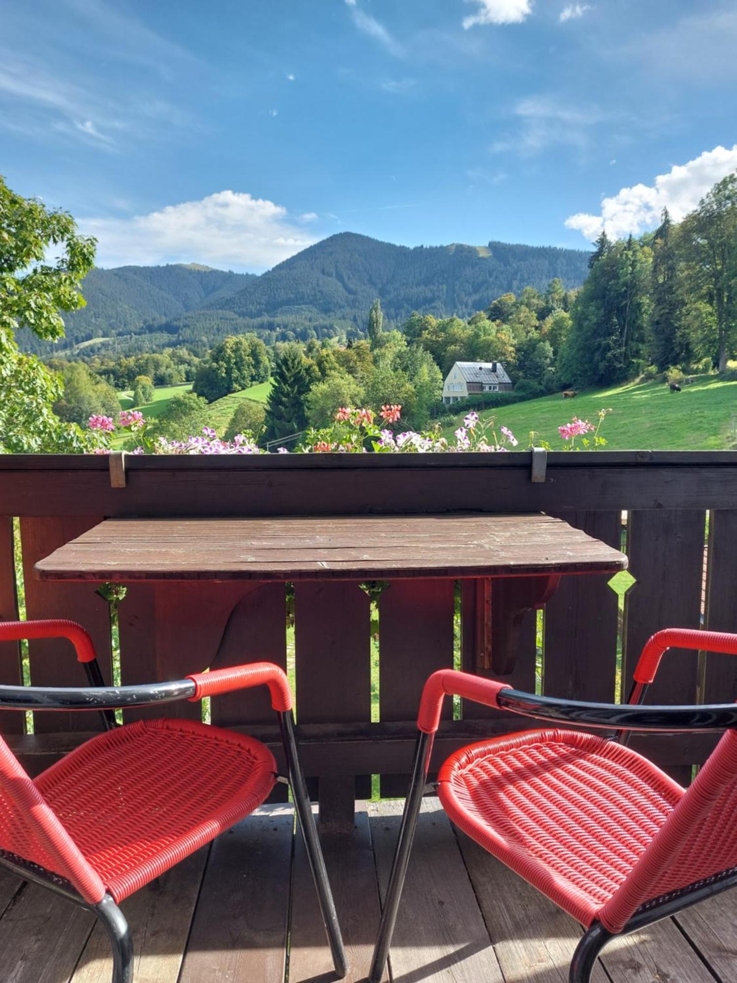Landhaus Schoenblick Bad Kohlgrub Dış mekan fotoğraf